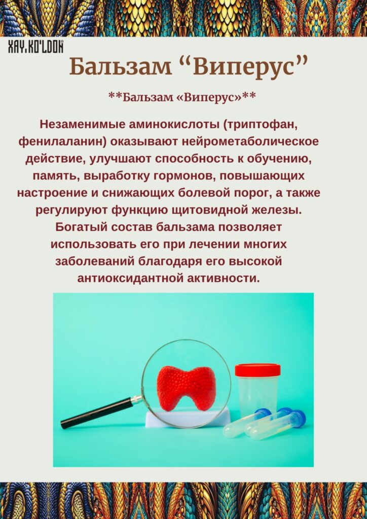 Изображение WhatsApp 2024-08-02 в 00.51.22_37c0bb36