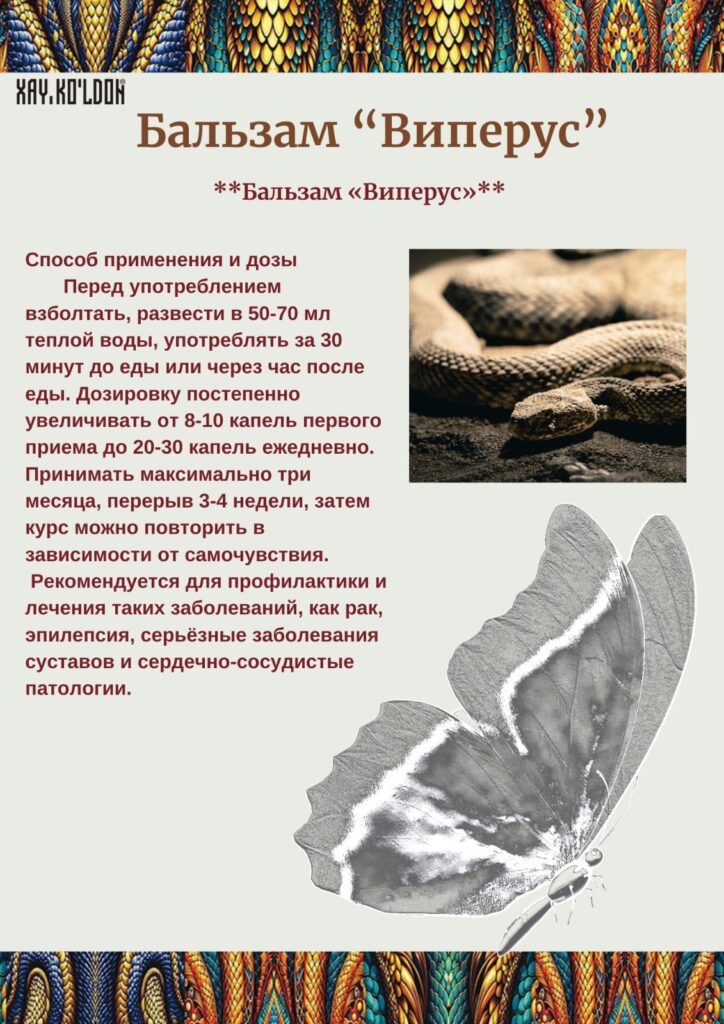 Изображение WhatsApp 2024-08-02 в 00.51.23_f52a1d54